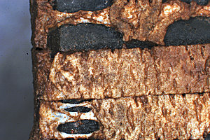 Fig. 3 Closeup of band degredation after 234 days submerged in a river.