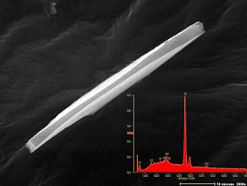 Fig. 1 Microscopic bar of titanium metal found on Cooper's tie. Inset shows elemental signature via x-ray spectroscopy. (Length = 60 microns)